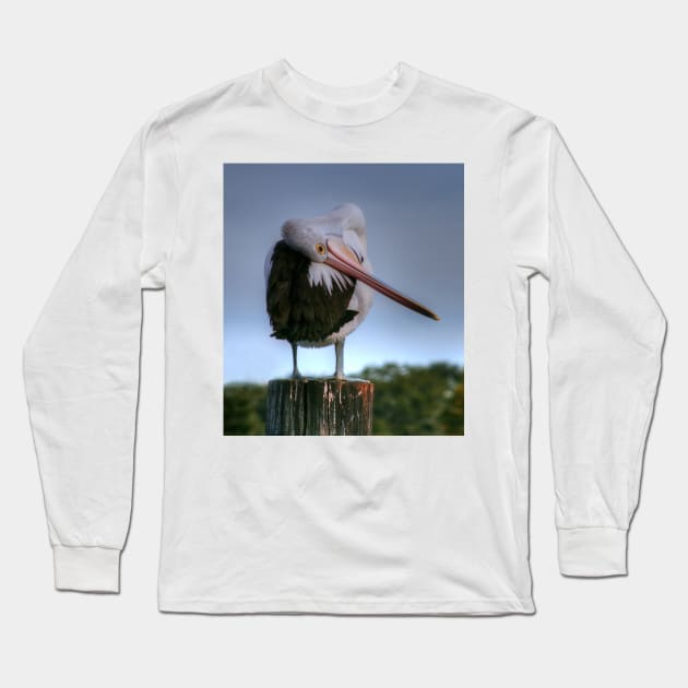 Bashful Pelican Long Sleeve T-Shirt by Michaelm43